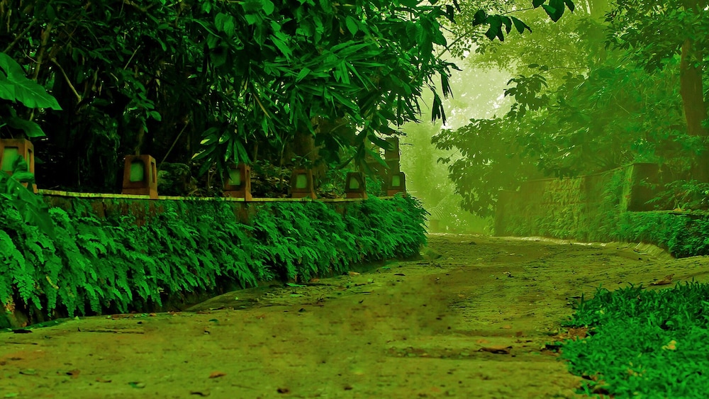 WAYANAD SILVERWOODS RESORT 52/55