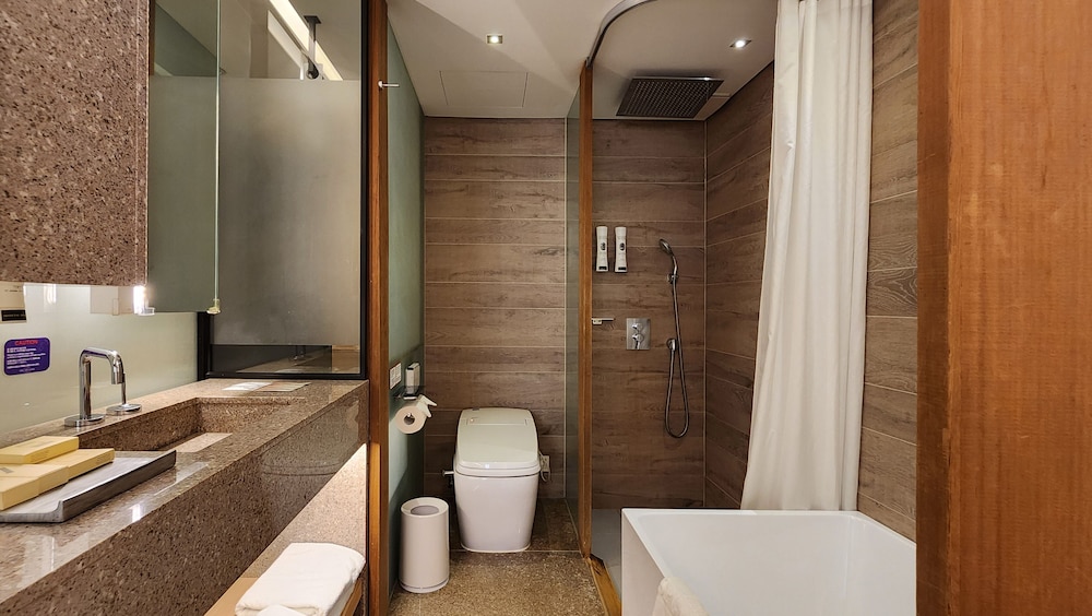 Sotetsu Hotels The Splaisir Seoul Myeongdong 78/81