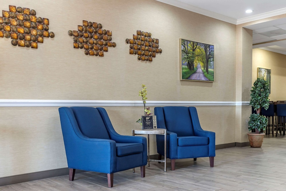 Comfort Inn & Suites Orangeburg 5/36