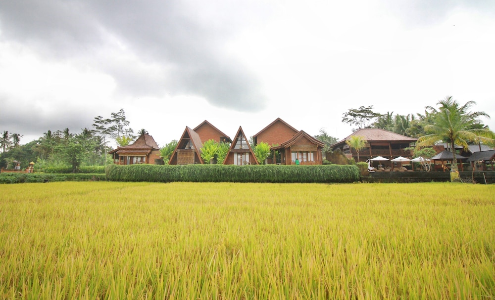 Alam Kawi Ubud Resort & Spa 36/45