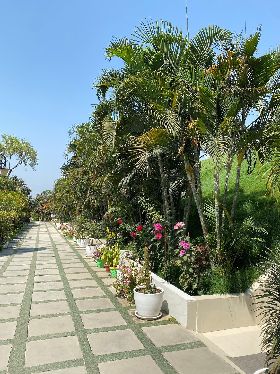 Sambodhi Retreat 26/39