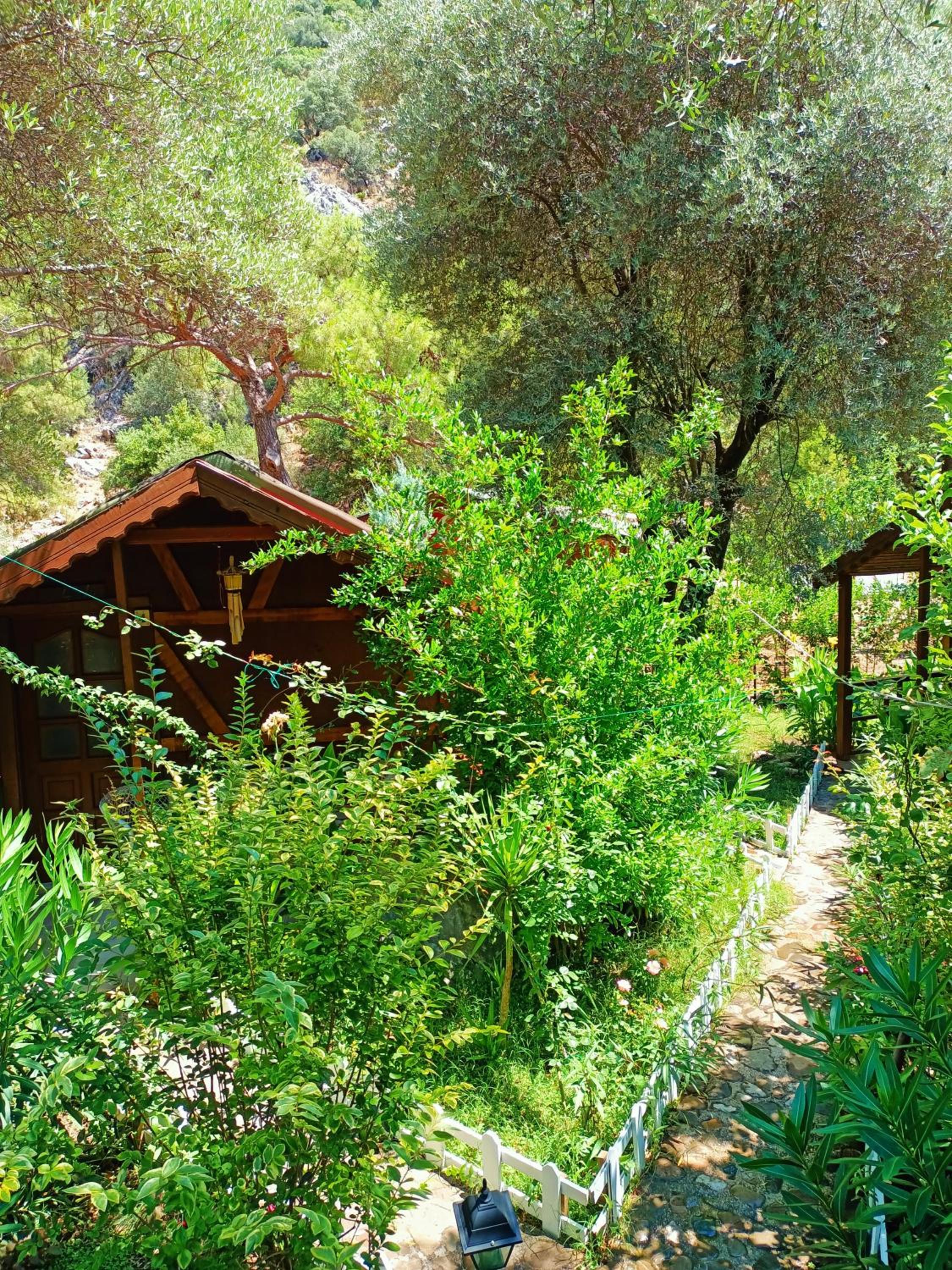 Canario Pension Bungalow 34/50