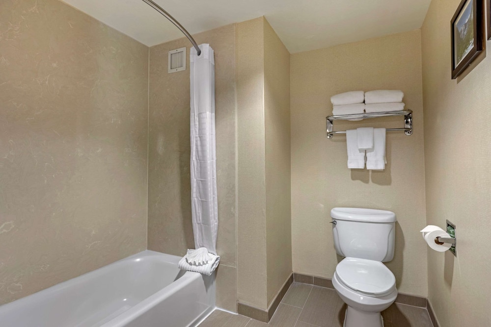 Comfort Suites Visalia - Convention Center 13/41