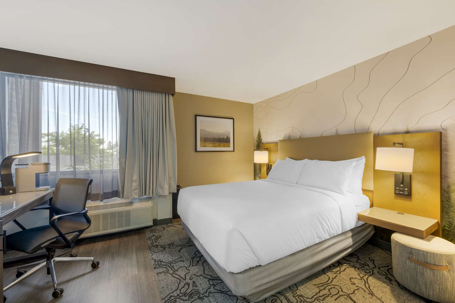 accessible - 1 queen, mobility accessible, communication assistance, bathtub, pillow top mattress