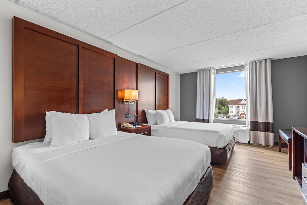Suite, 2 Queen Beds, Sofa, Comfort Suites Manassas Battlefield Park 6/10