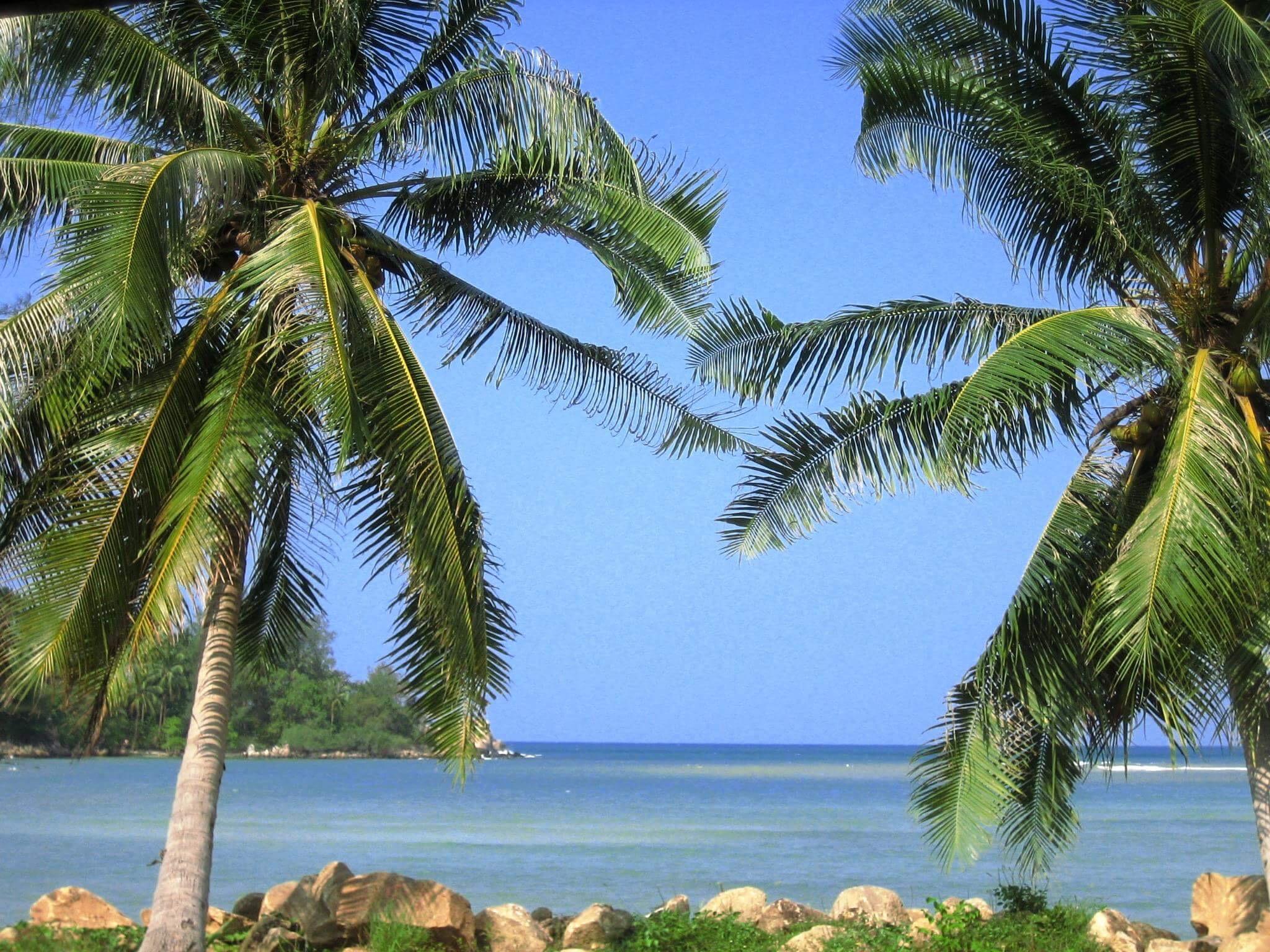 Wattana Resort 20/32