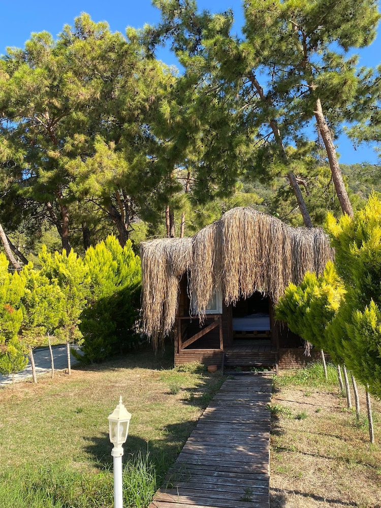 Green Pine Beach & Bungalows Luxury Concept 40/50