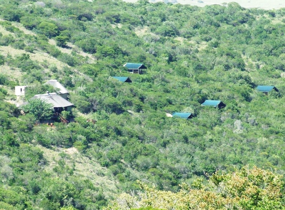 Inkwenkwezi Private Game Reserve 27/50