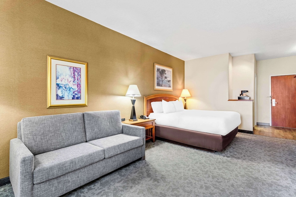 جناح بسرير كينج، Comfort Inn & Suites I-25 near Spaceport America 3/3