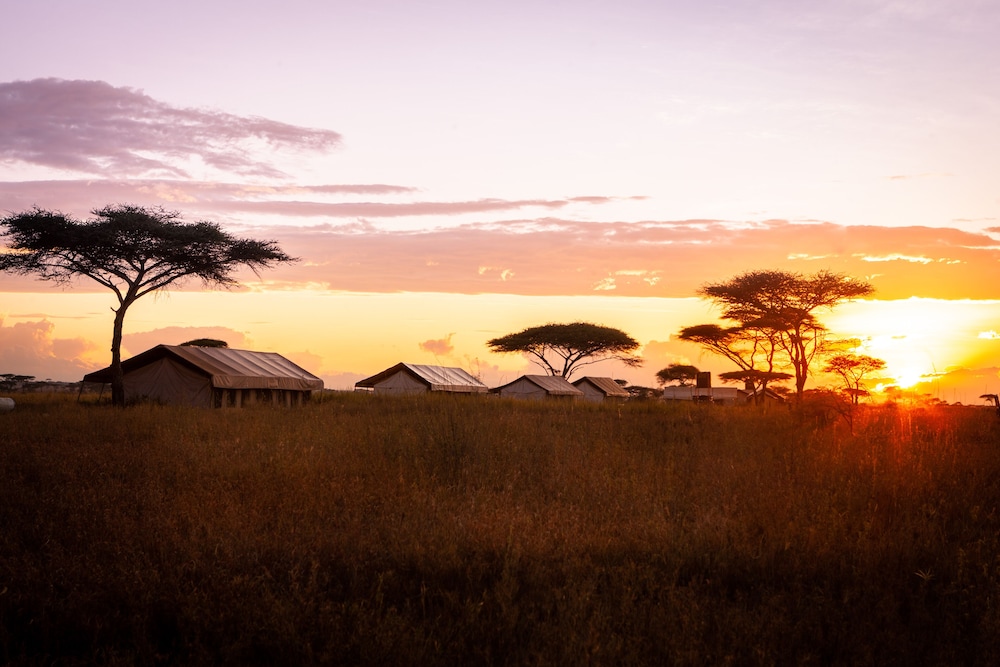 Mawe Luxury Tented Camp 48/50