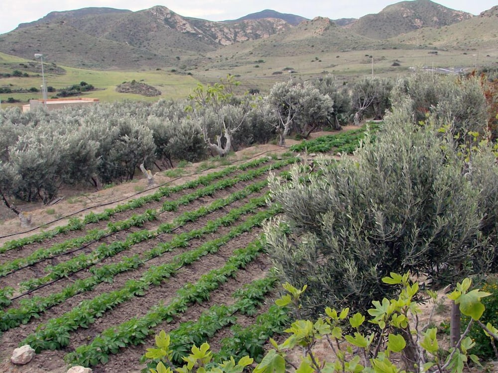 Hospederia Rural Los Palmitos 26/44