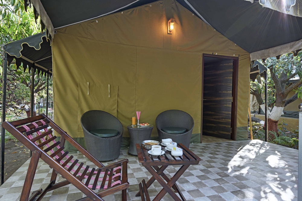 Gir Lion Safari Camp 33/36