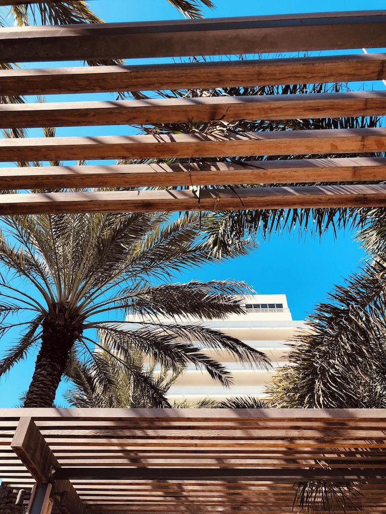 Nobu Hotel Miami Beach 3/67