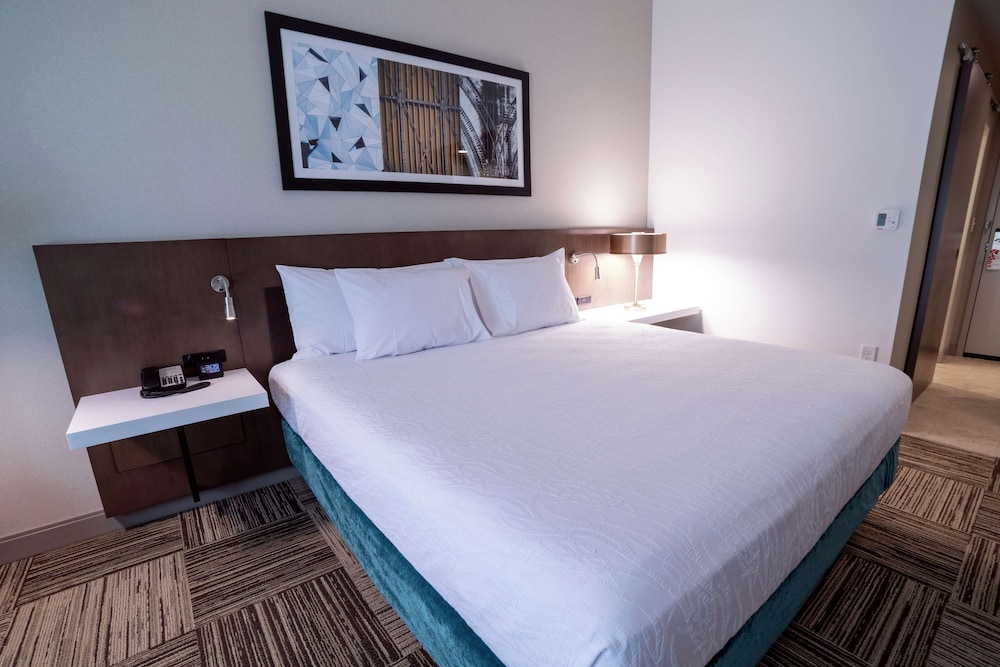 Hilton Garden Inn Spartanburg Sc 15/45