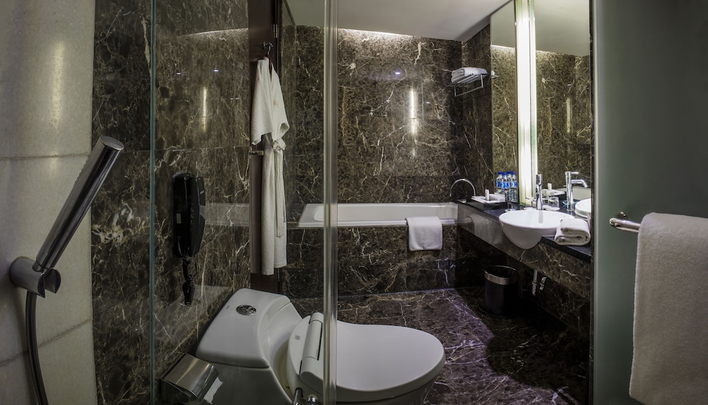 Cambridge Hotel Medan (ex Grand Swiss Belhotel Medan) 15/71