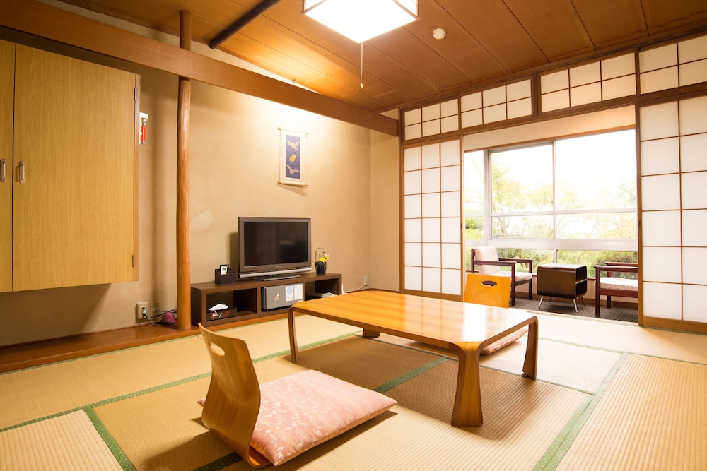 Arima Onsen Motoyu Ryuusenkaku 23/49