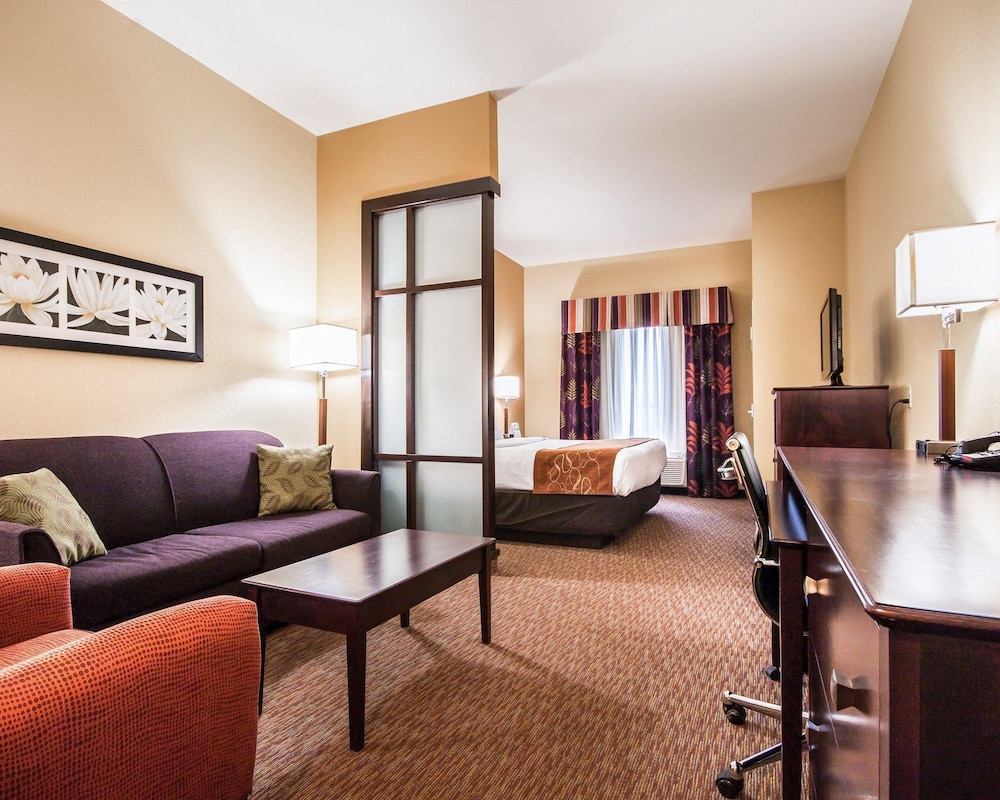 Comfort Suites Pecos 25/42