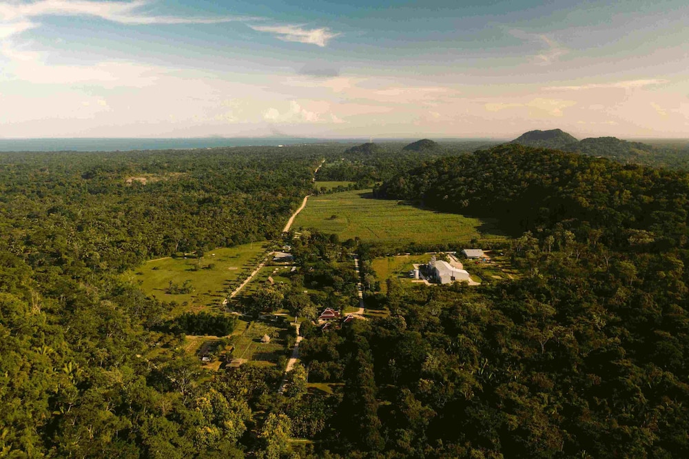 surroundings