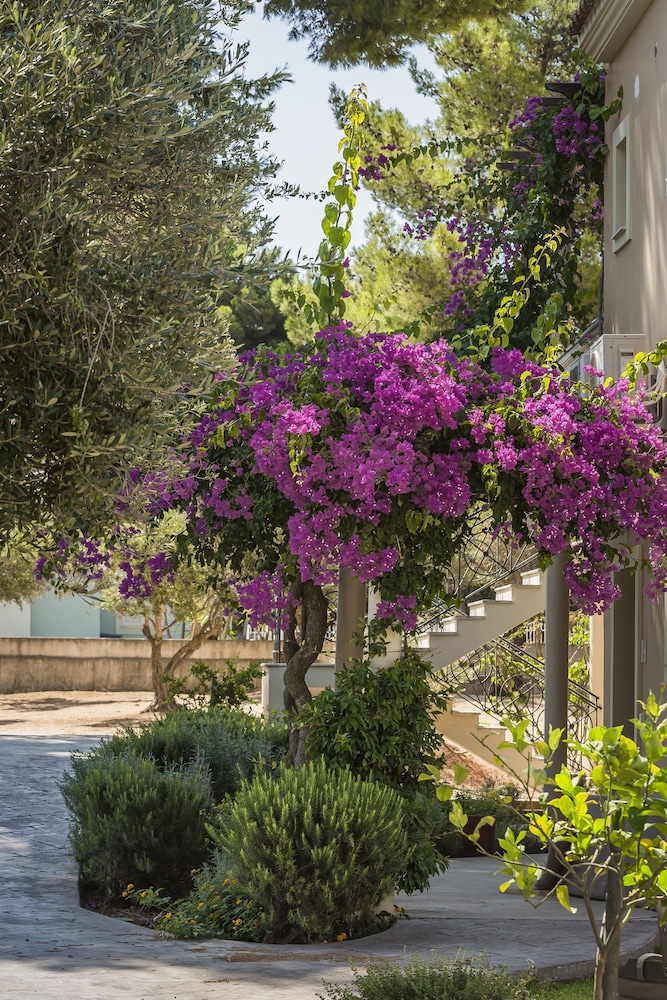 Thalassa Boutique Hotel 65/77