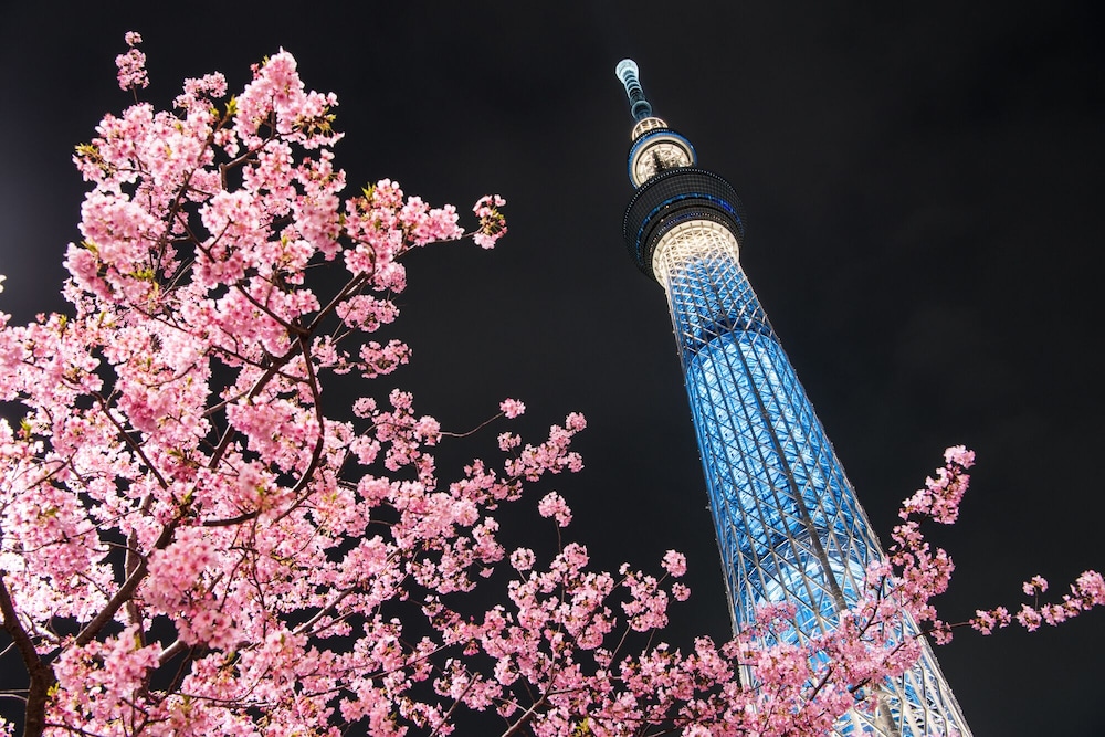 VIA INN Iidabashi Korakuen 42/47