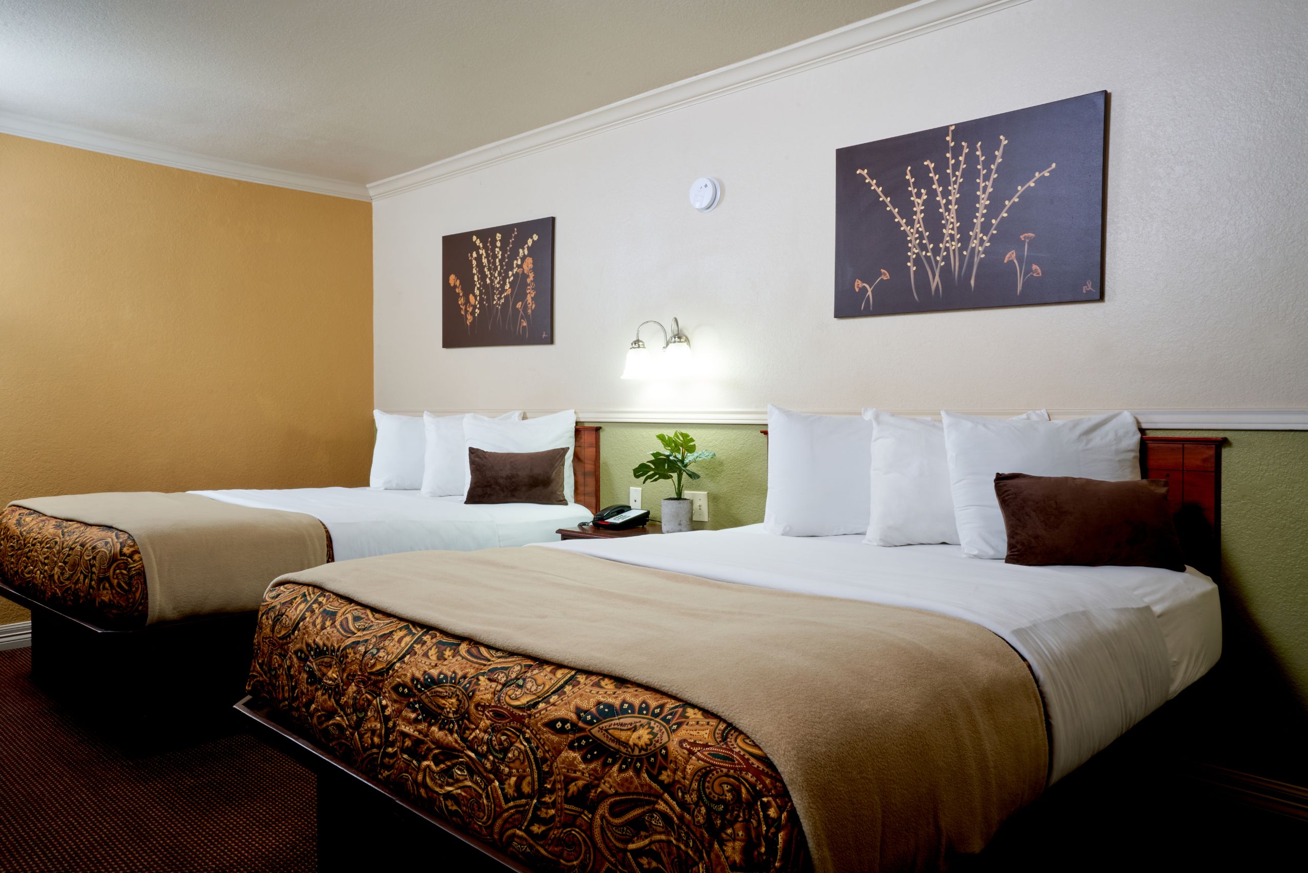 Garden Suite, 2 Queen Beds