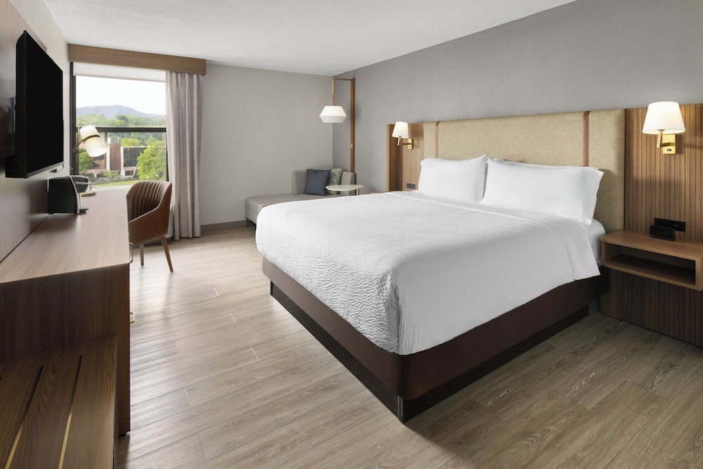 Holiday Inn Roanoke Tanglewood Rt 419 I581 26/62