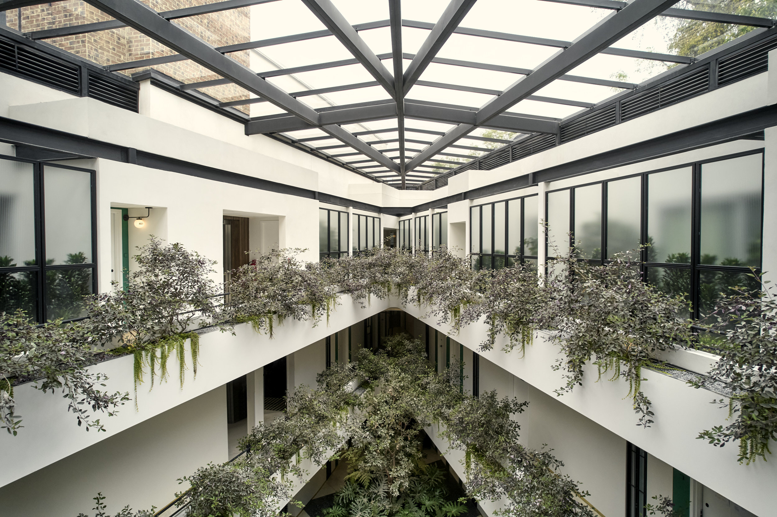 Kimpton Virgilio 5/50