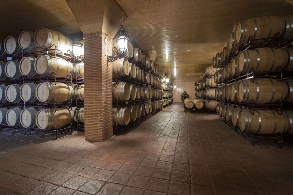 Domus Selecta Complejo Enoturistico Finca La Estacada 36/65