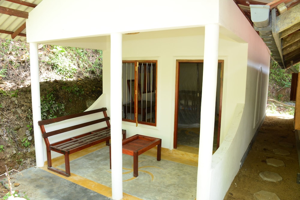 The Jungle House 20/50