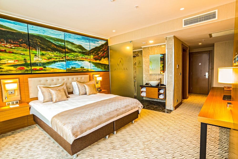 Aselia Hotel Trabzon 16/38