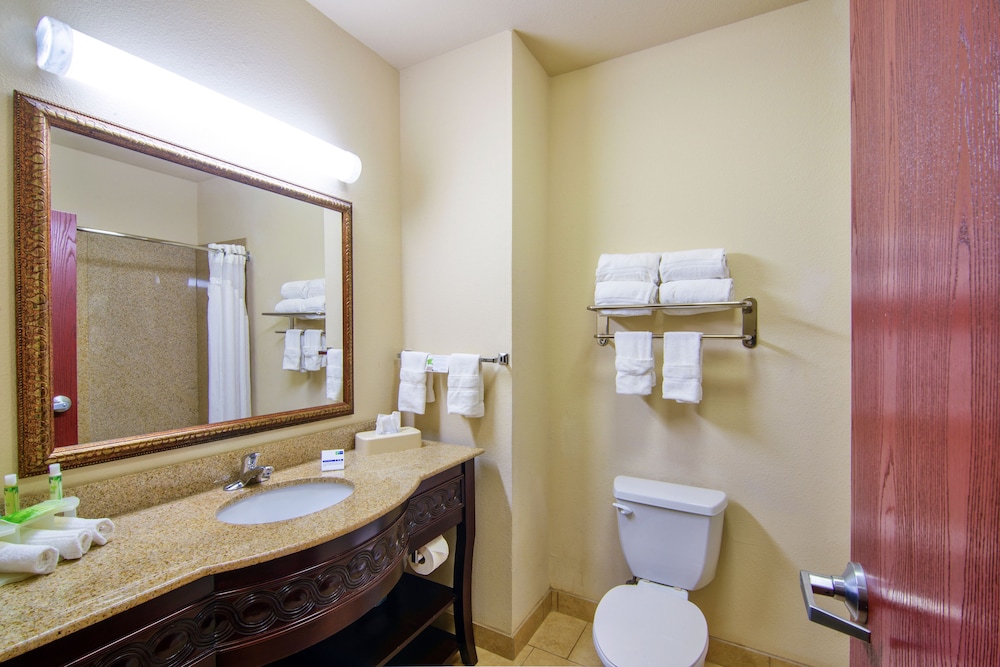 Holiday Inn Express Hotel Suites Terrell 21/64