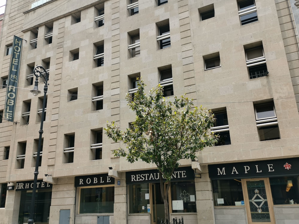 Hotel Roble 2/38