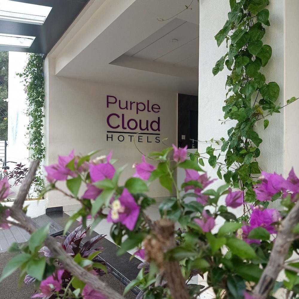 Purple Cloud Hotel 1/25