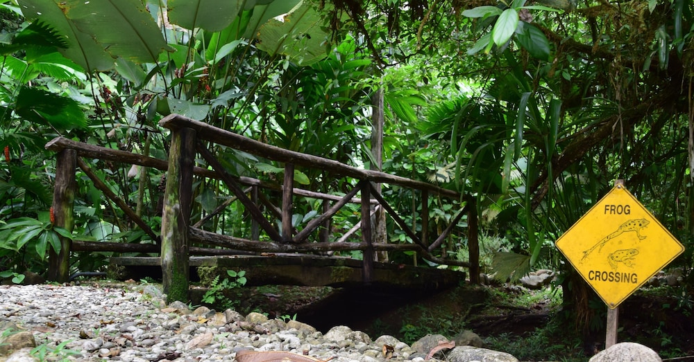 Esquinas Rainforest Lodge 27/46