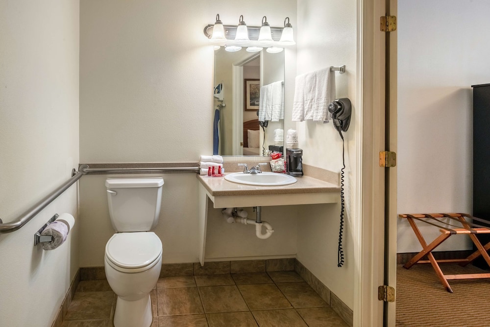 غرفة قياسية بسرير كينج لذوي الإعاقة، SureStay Hotel By Best Western Leesville 6/7