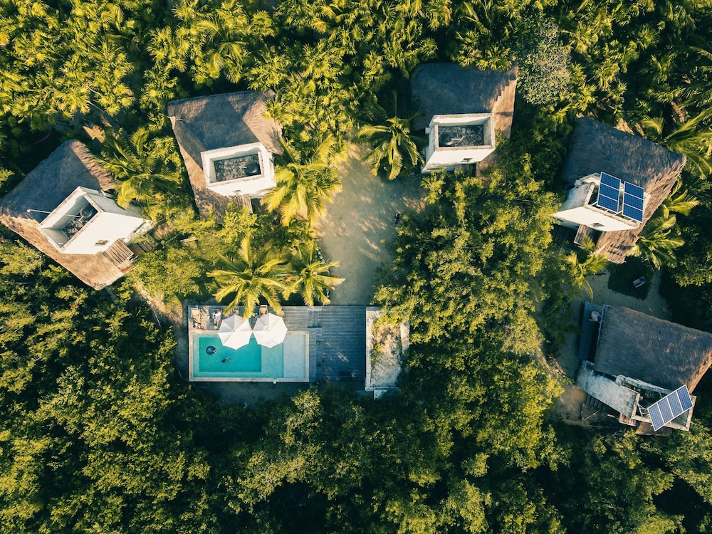 Vida Silvestre Tulum 45/50