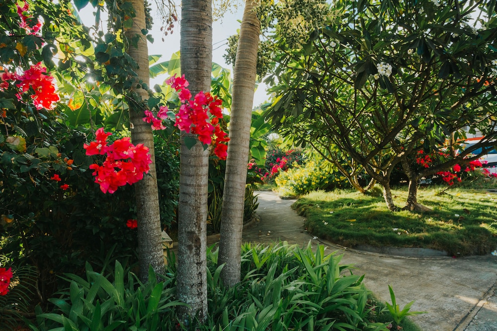Beach Garden Hotel And Apartment 40/50