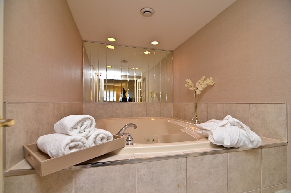 Holiday Inn Hotel Suites St Catharines Conference Ctr 22/81