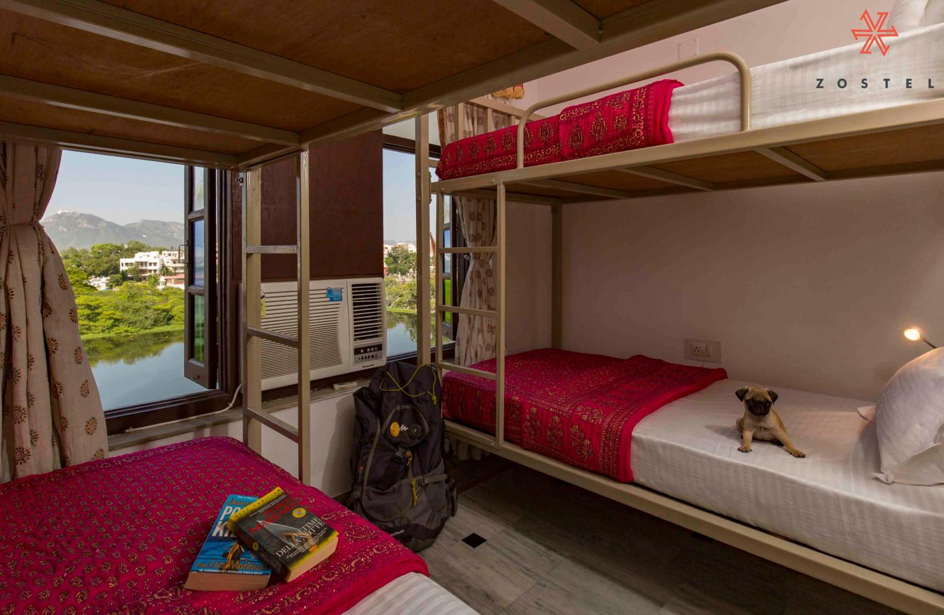 Mixed Dorm, Deluxe, 4 Beds
