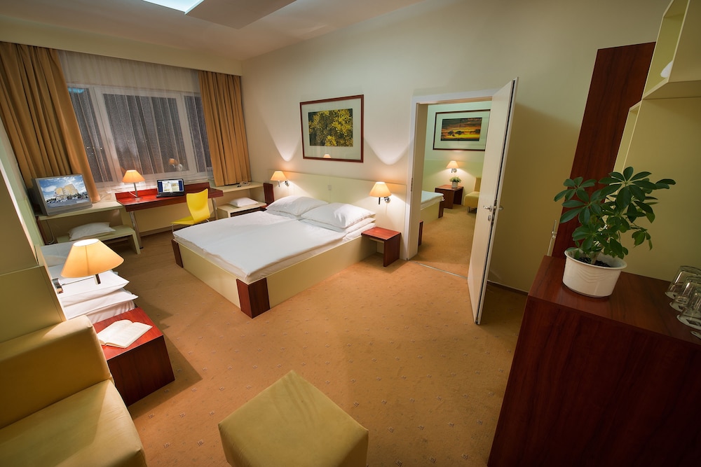 Hotel Grand Litava 23/49