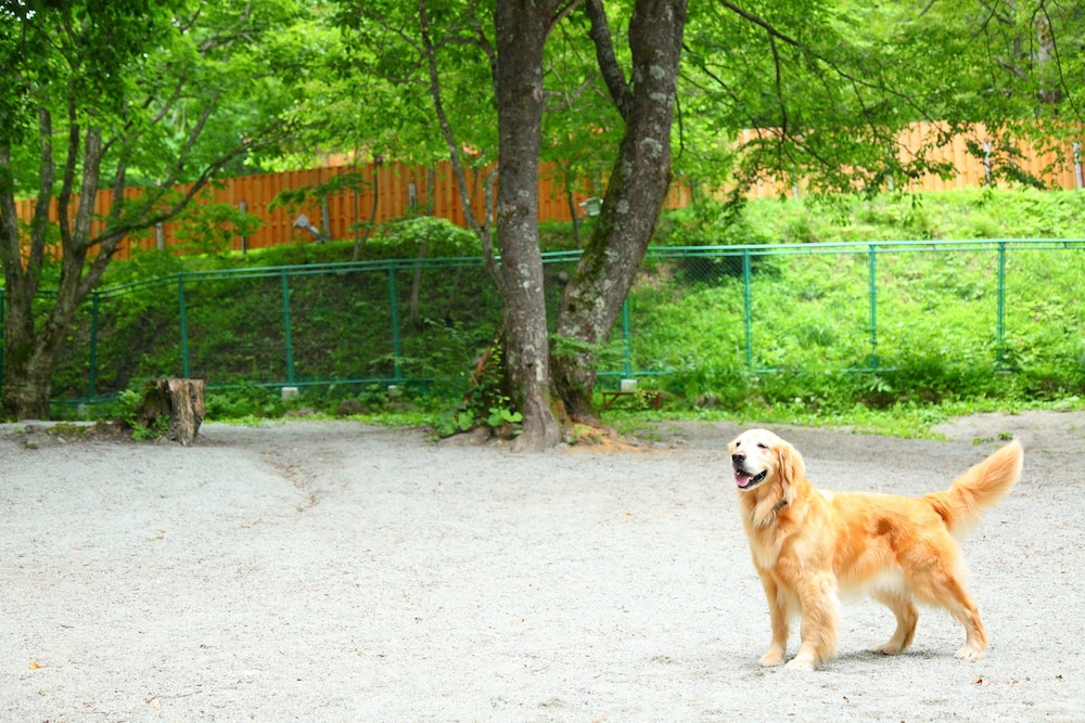 Izumigo Takayama Dog Paradise Hotel 33/67
