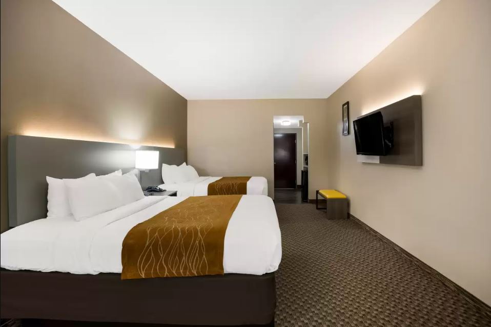 Suite