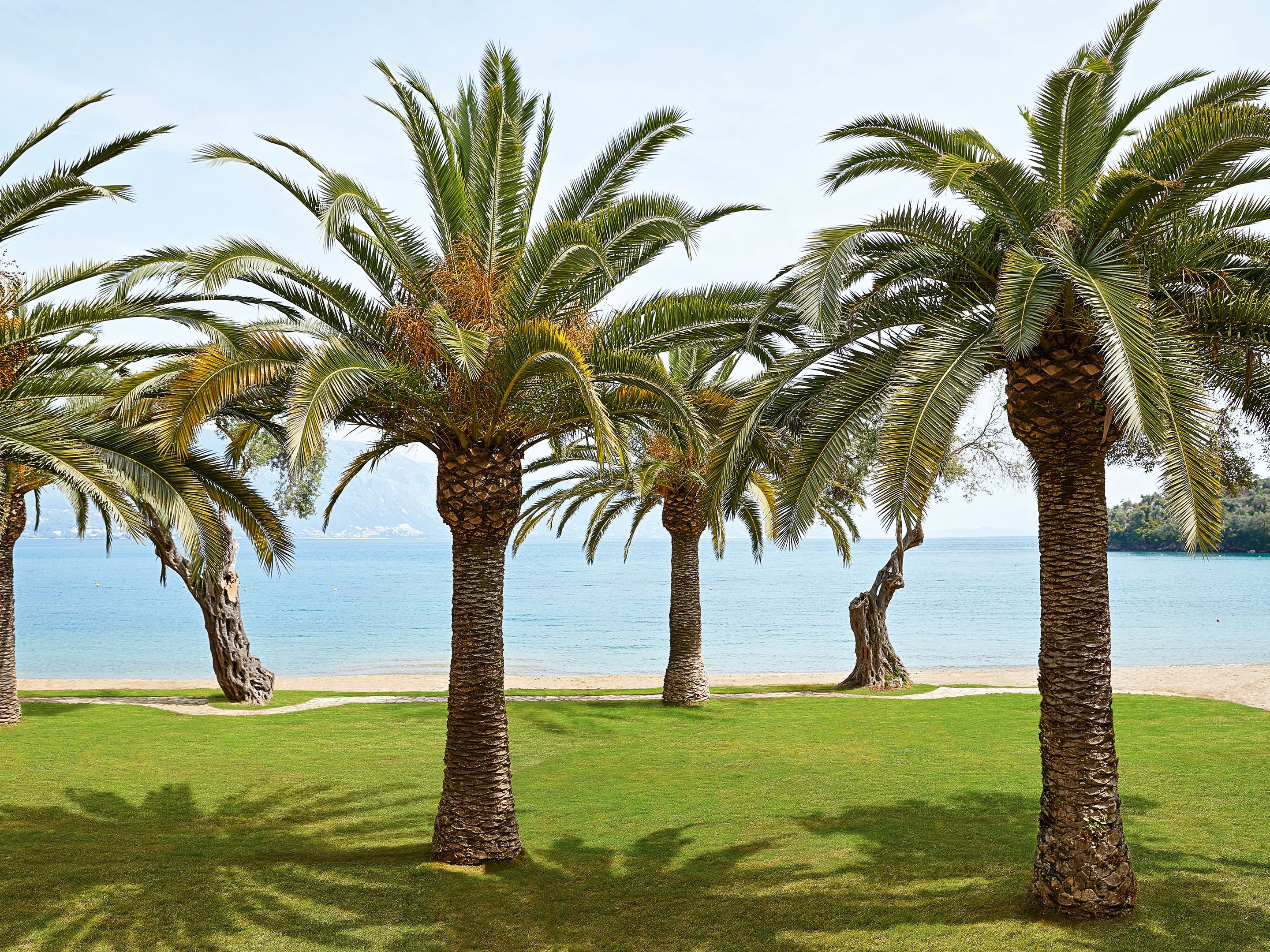Grecotel Daphnila Bay 25/27