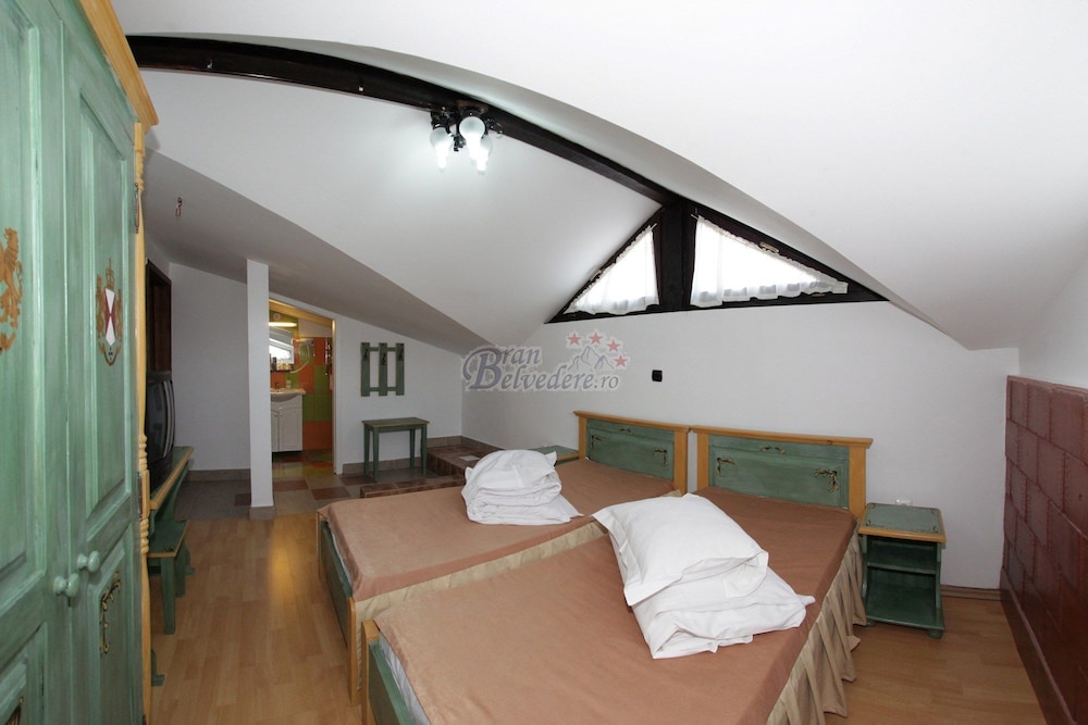 Bran Belvedere International 20/53