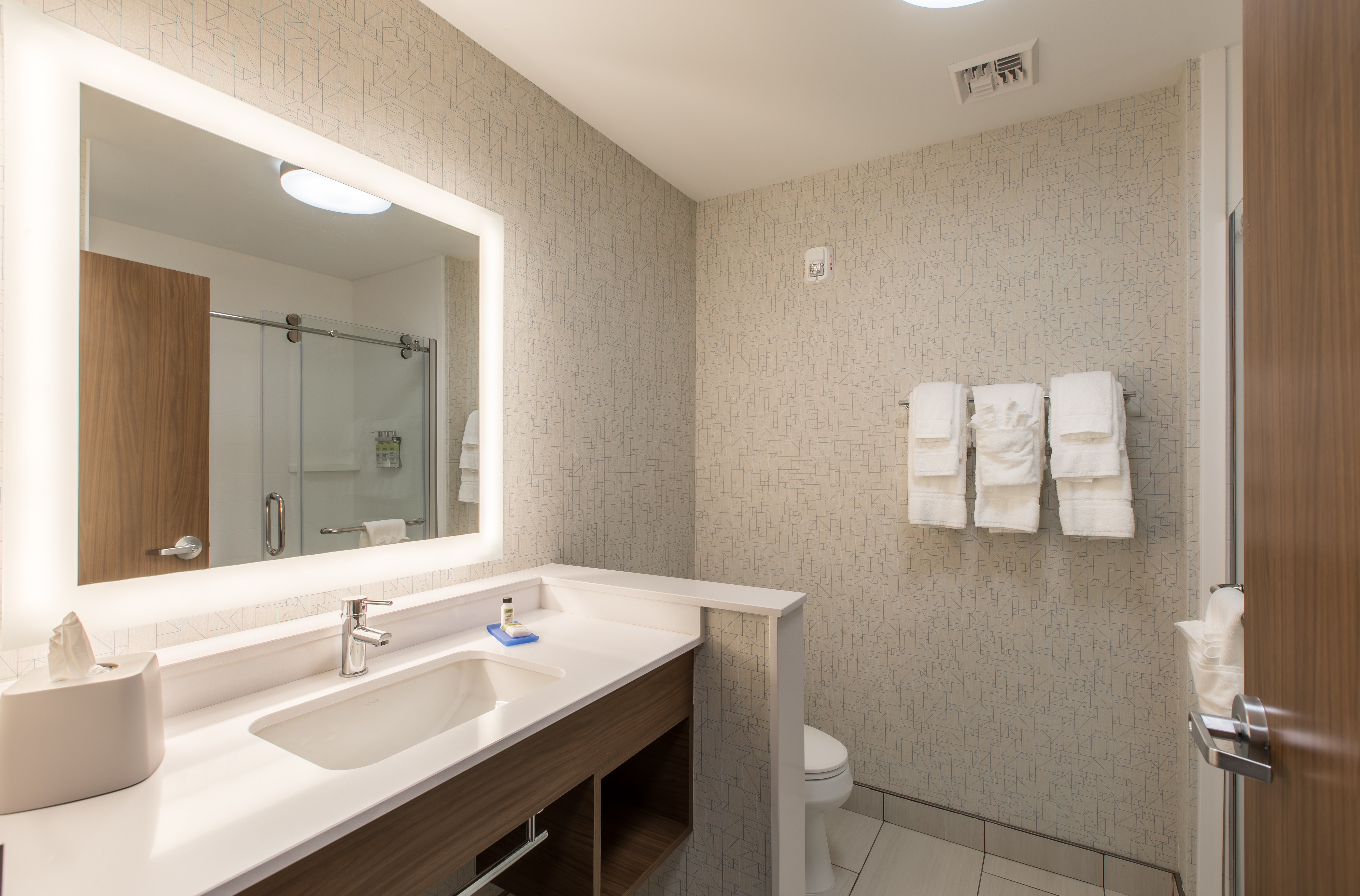 Holiday Inn Express Suites Greenville S Piedmont 77/81
