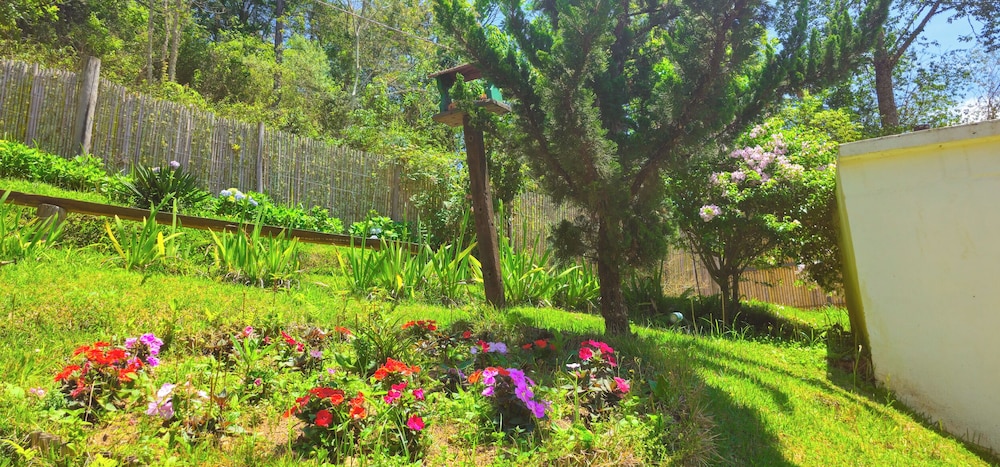 Pousada Cores e Flores da Serra 33/50