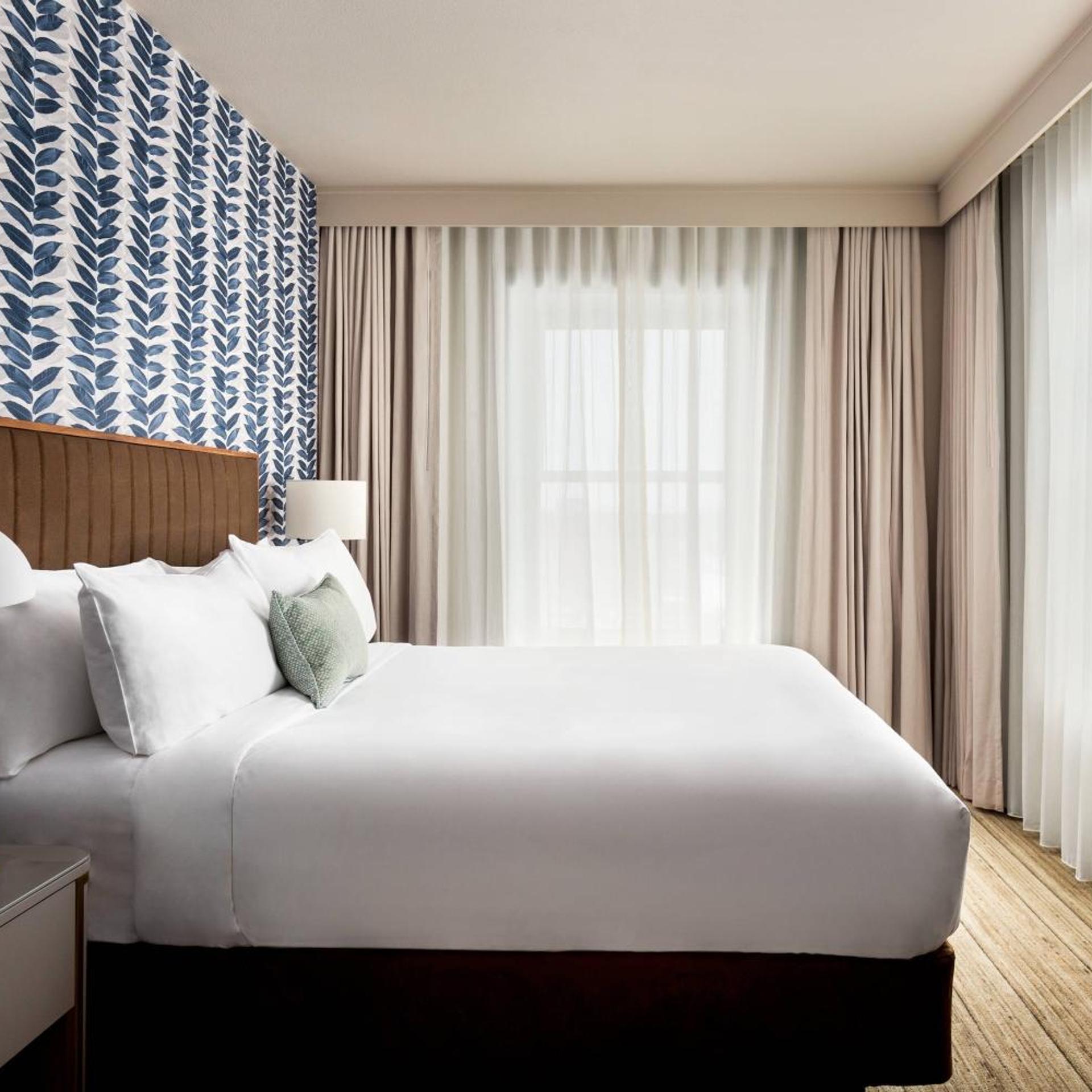 Suite, King Bed