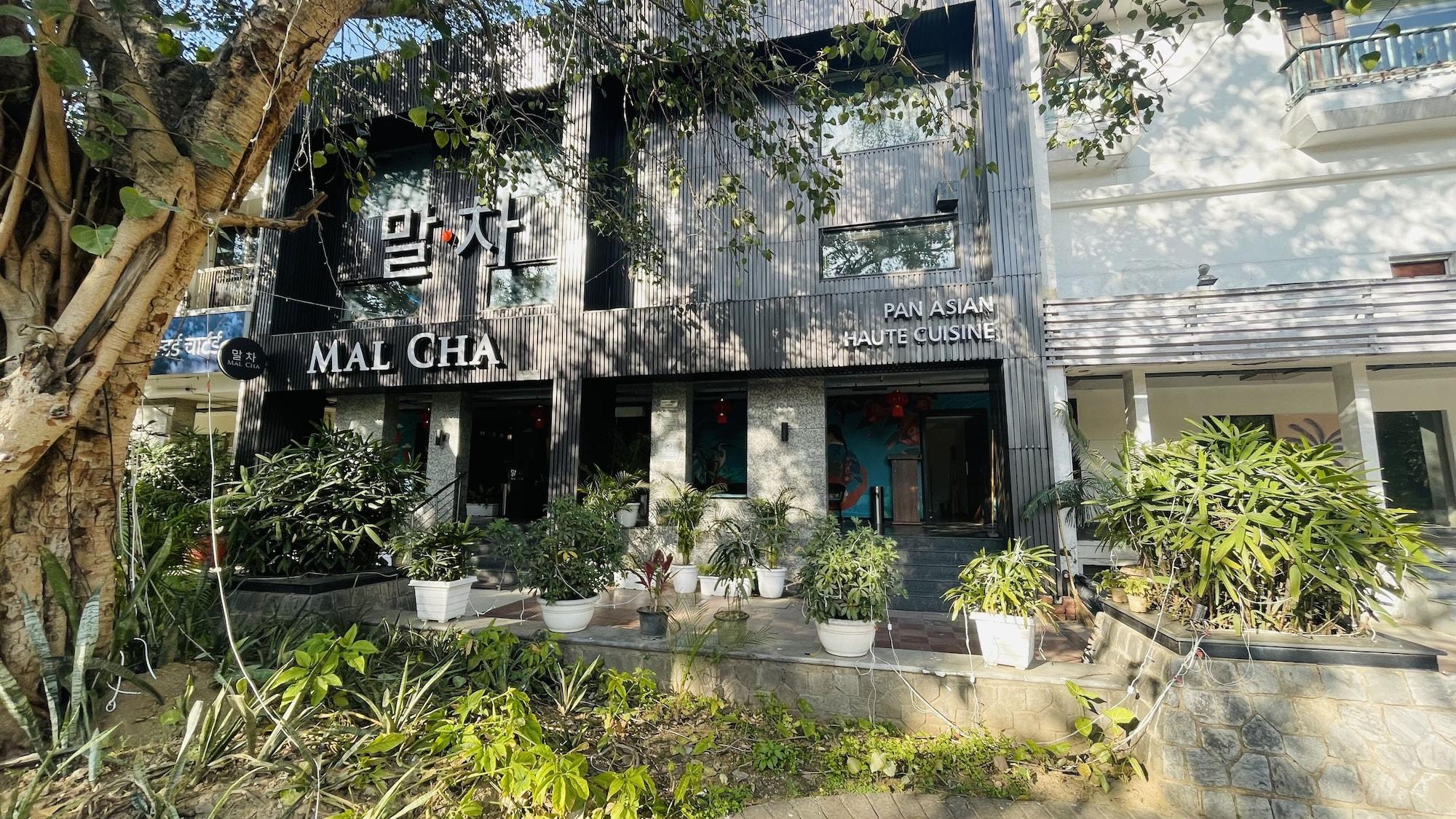 Saltstayz Malcha - Chanakyapuri 2/18