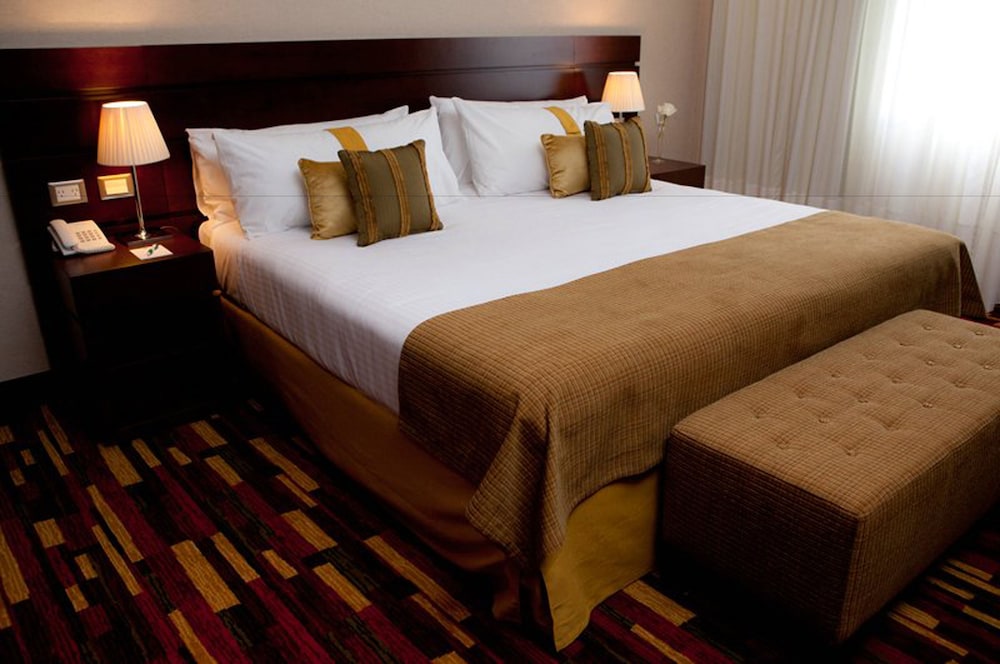 Holiday Inn Buenos Aires Ezeiza Airport 18/59