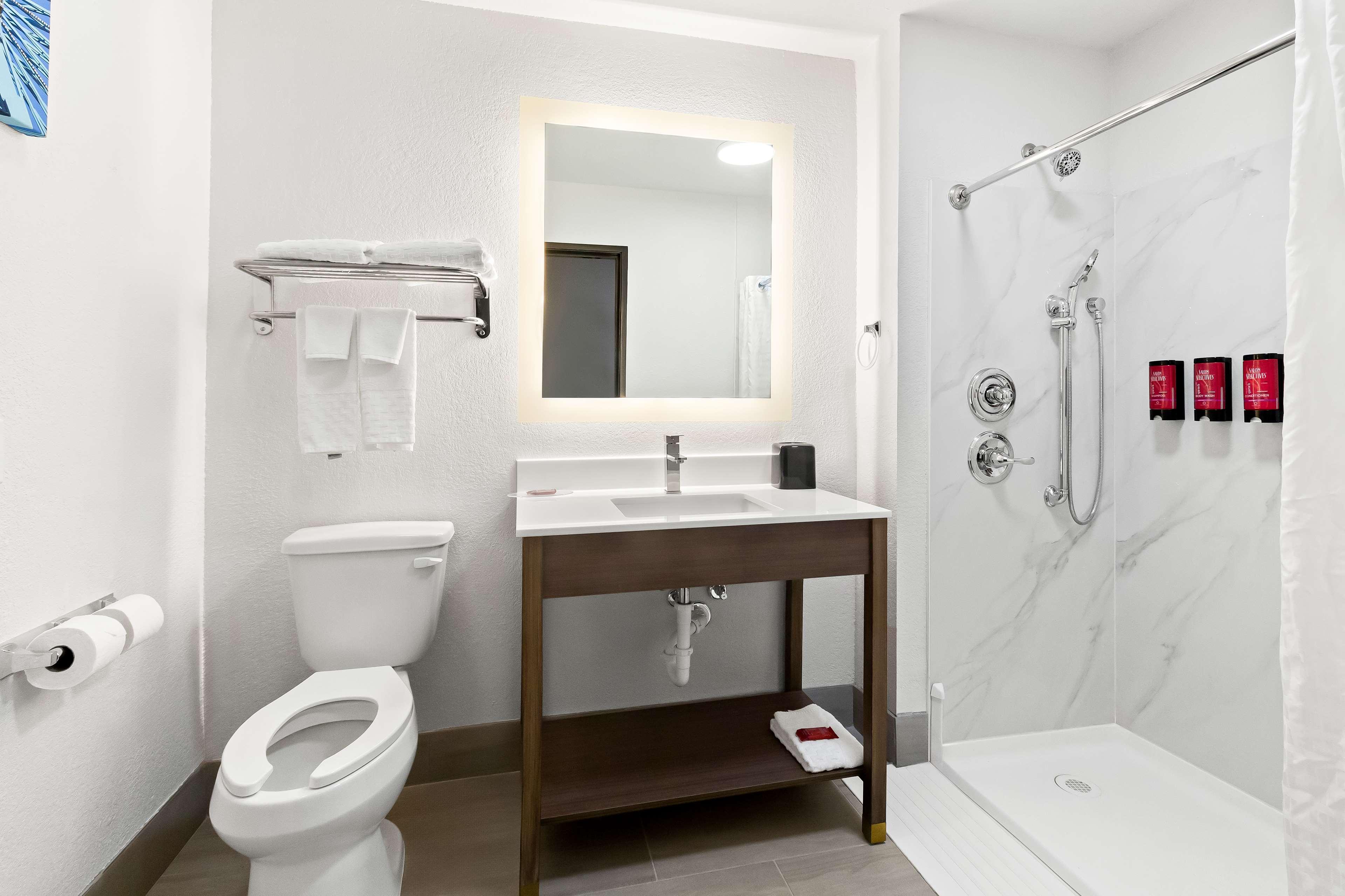 Room, King Bed, Accessible, Surestay By Best Western Groves 3/3